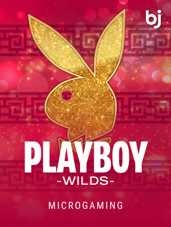 Playboy Wild game icon